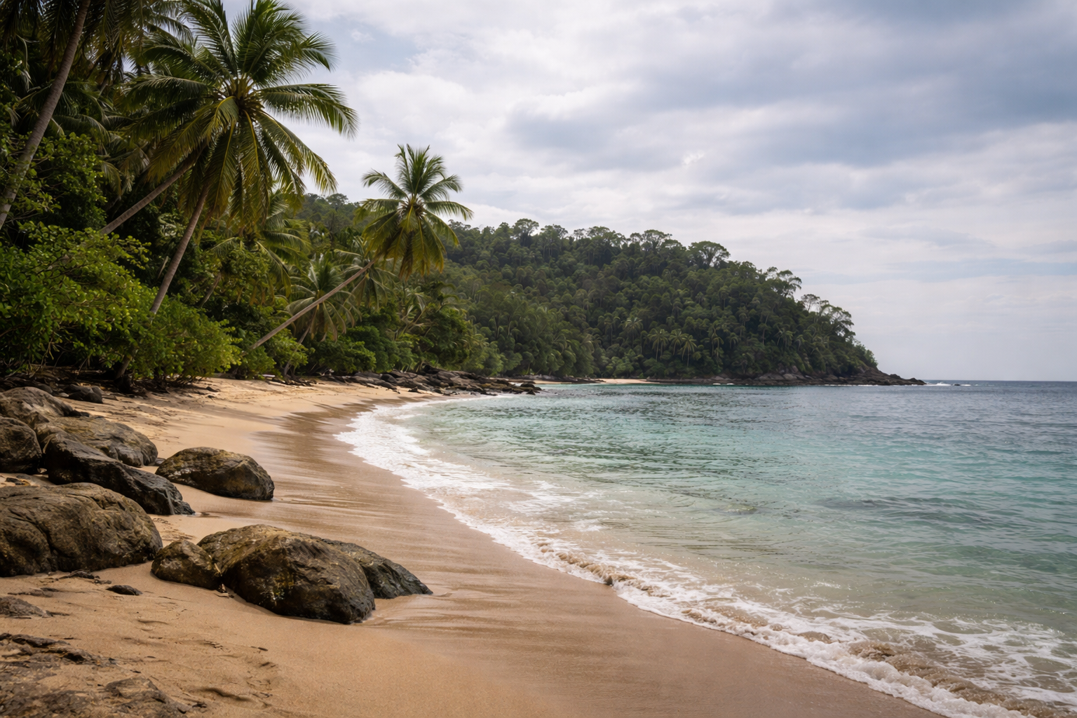 Tropical island beach with palm trees and calm water